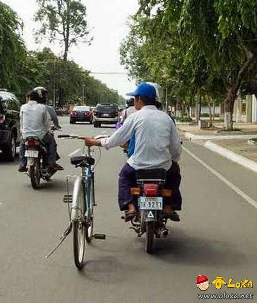 Olímpiadas de preguiça preguiça (10)