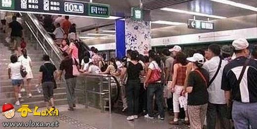 Olímpiadas de preguiça (4)