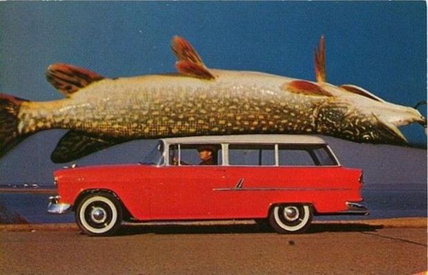 products-real-men-dont-need02