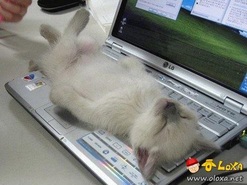 quando bate o sono (1)