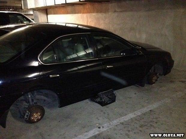 se voce faz isso por favor se mate 18