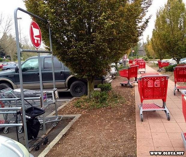 se voce faz isso por favor se mate 19