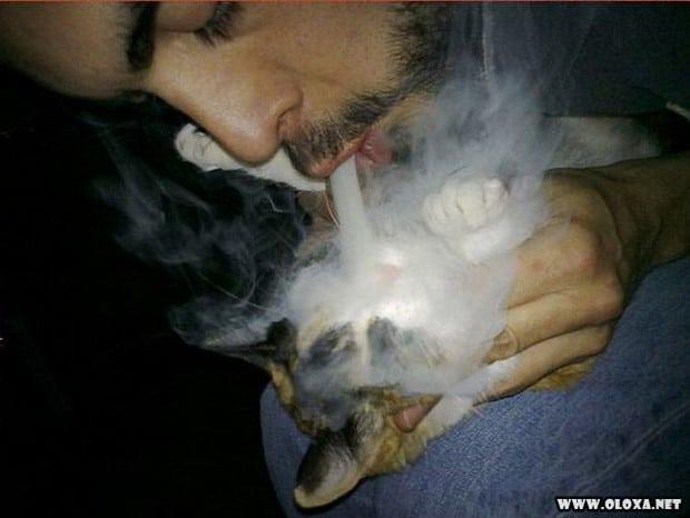 se voce faz isso por favor se mate 27