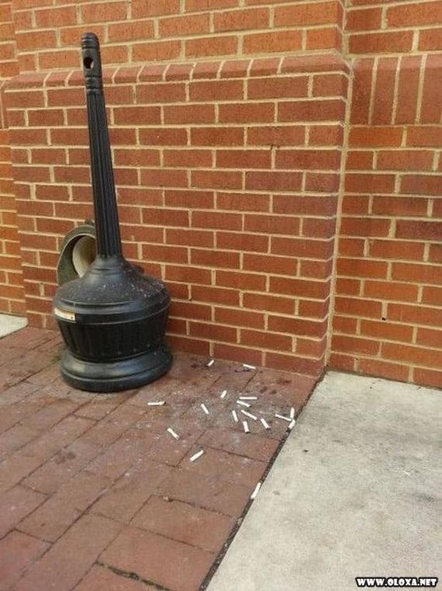 se voce faz isso por favor se mate 3