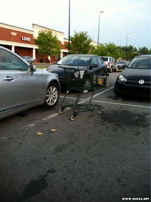 se voce faz isso por favor se mate 6