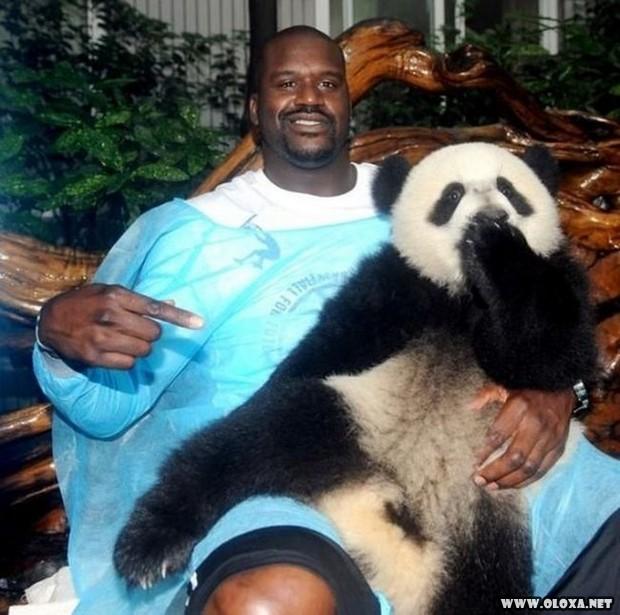 shaquille oneal 33