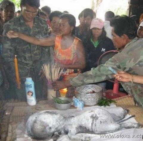 strangest-creature-earth-5