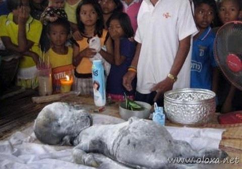 strangest-creature-earth-6