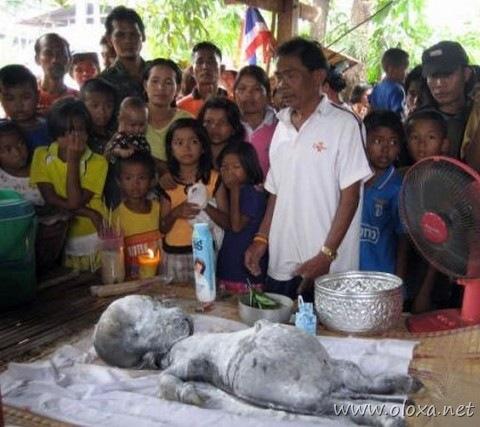 strangest-creature-earth-7