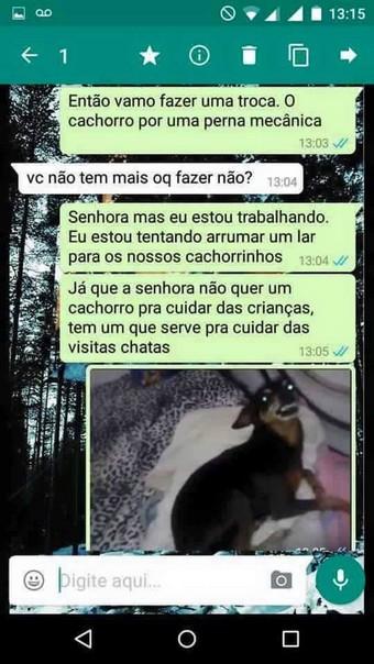 ta afim de adotar um cachorro (2)