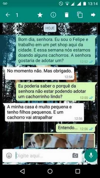ta afim de adotar um cachorro (3)