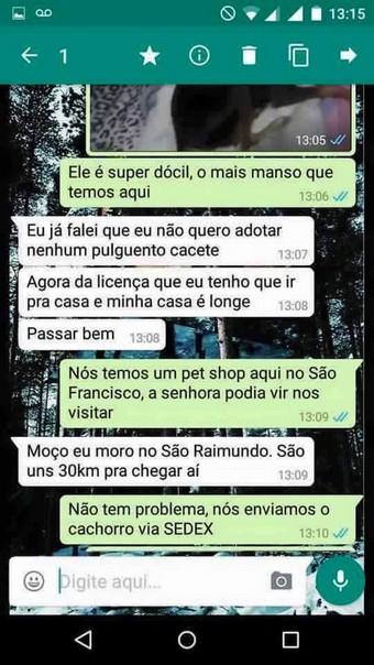 ta afim de adotar um cachorro (4)