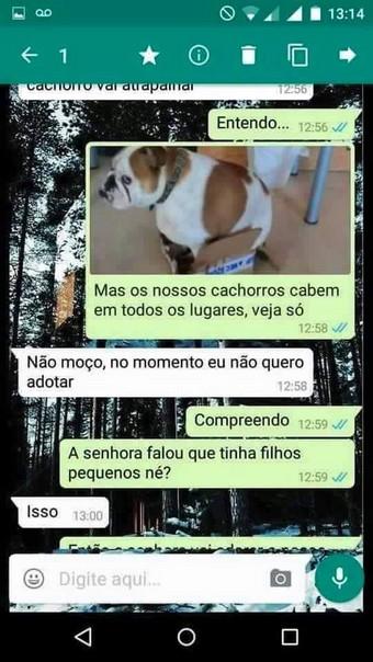 ta afim de adotar um cachorro (5)