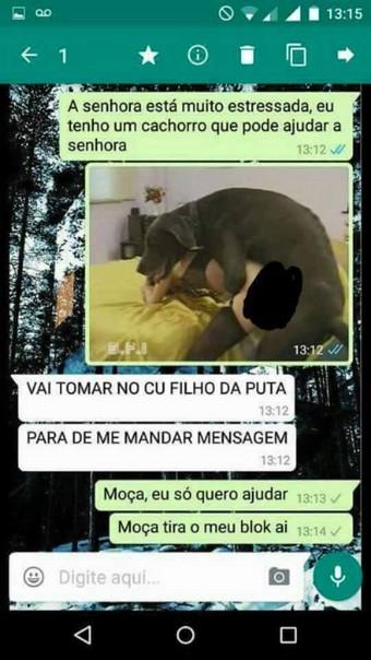 ta afim de adotar um cachorro (6)