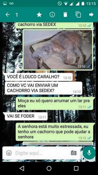 ta afim de adotar um cachorro (7)