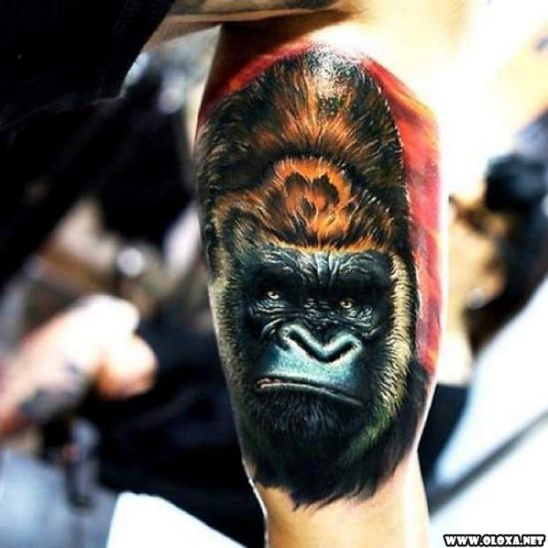 60 Tatuagens Realistas Tão Boas Que Vão Fazer Você Questionar a Realidade 32 tatuagens realistas impressionantes 19