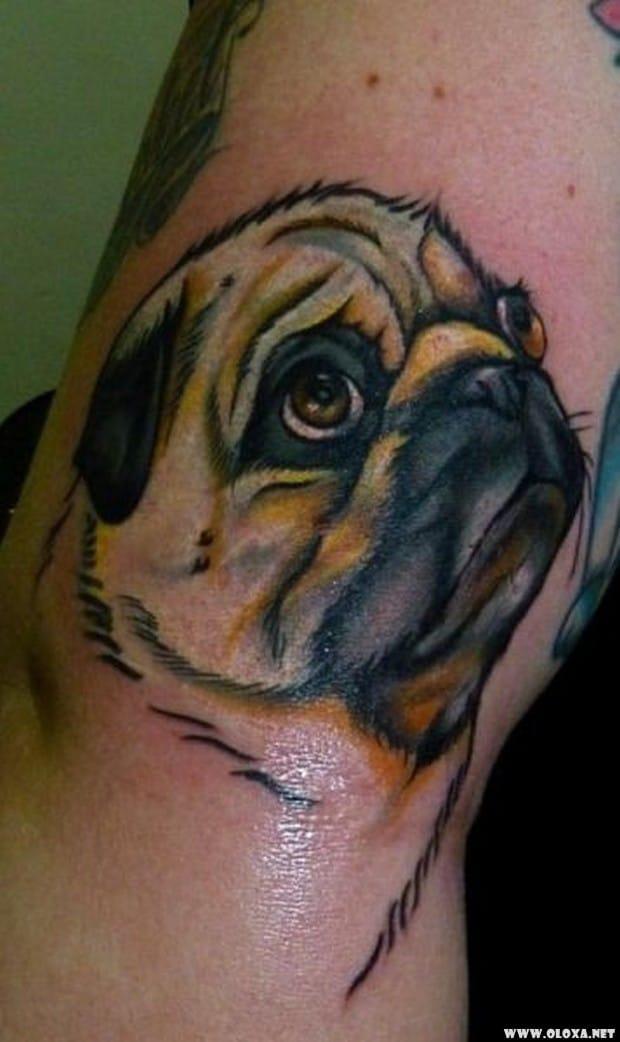 60 Tatuagens Realistas Tão Boas Que Vão Fazer Você Questionar a Realidade 16 tatuagens realistas impressionantes 3