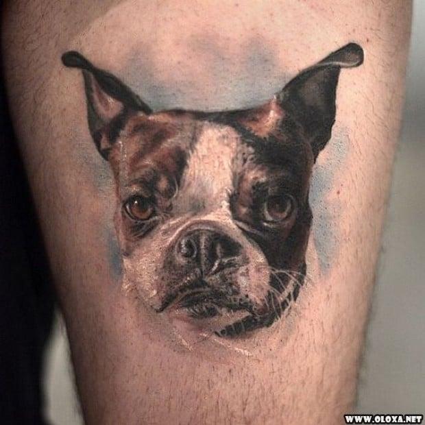 60 Tatuagens Realistas Tão Boas Que Vão Fazer Você Questionar a Realidade 66 tatuagens realistas impressionantes 53