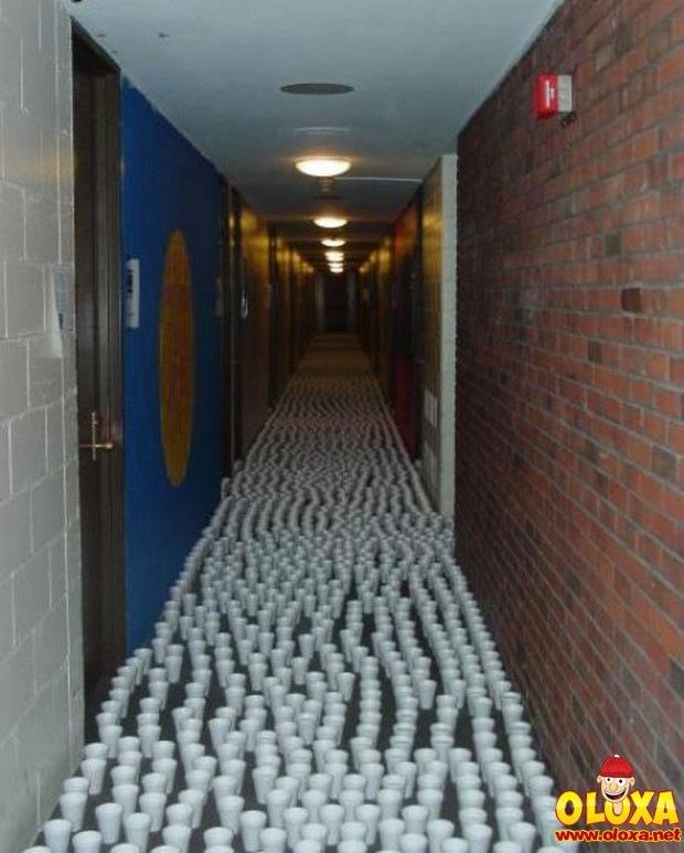 universidades do estates (6)