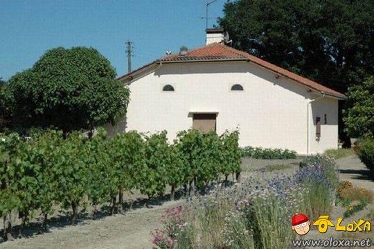 vejo rostos em construções (35)