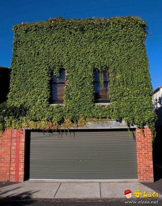 vejo rostos em construções (47)