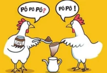 piadas rapidas pra alegrar seu dia