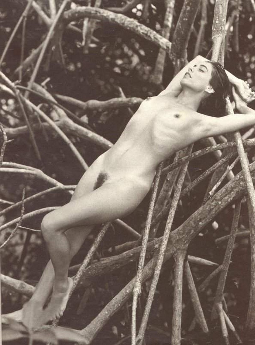 Playboy Agosto 1994 Cissa Guimaraes 14 fotos 9