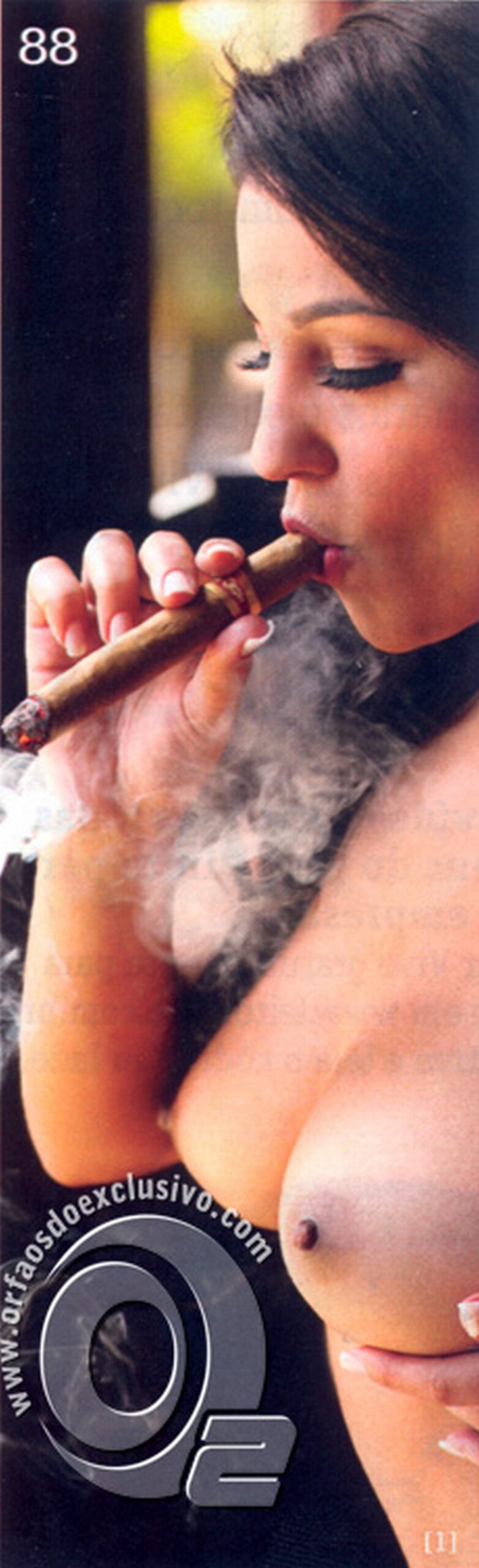 Playboy Outubro 2010 Desiree Oliveira 16 fotos 2 scaled